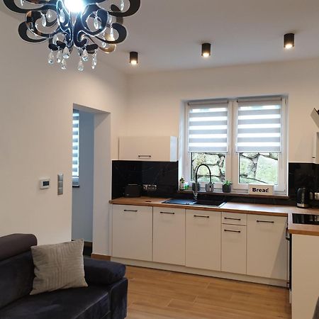 Villa Mila Apartamenty Karpacz Dış mekan fotoğraf