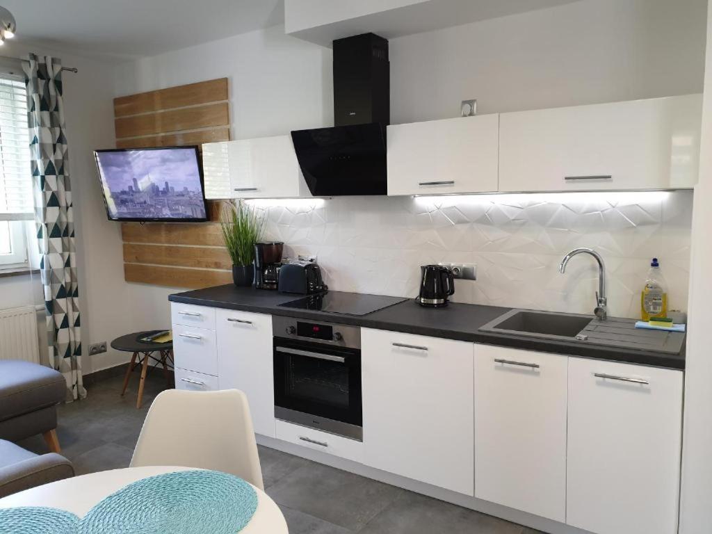Villa Mila Apartamenty Karpacz Dış mekan fotoğraf