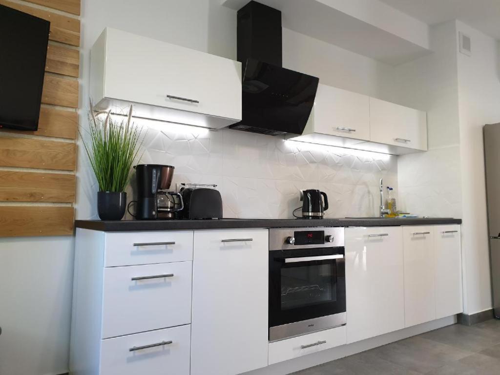 Villa Mila Apartamenty Karpacz Dış mekan fotoğraf